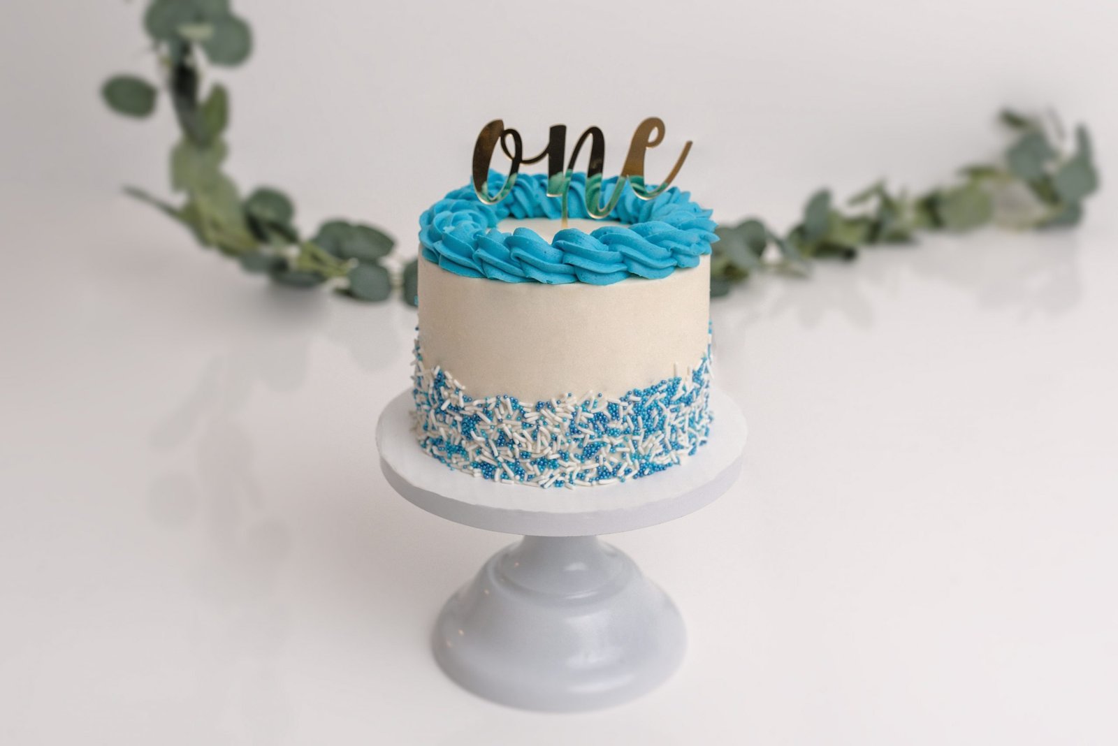 Vancouver Cake Smash Photographer