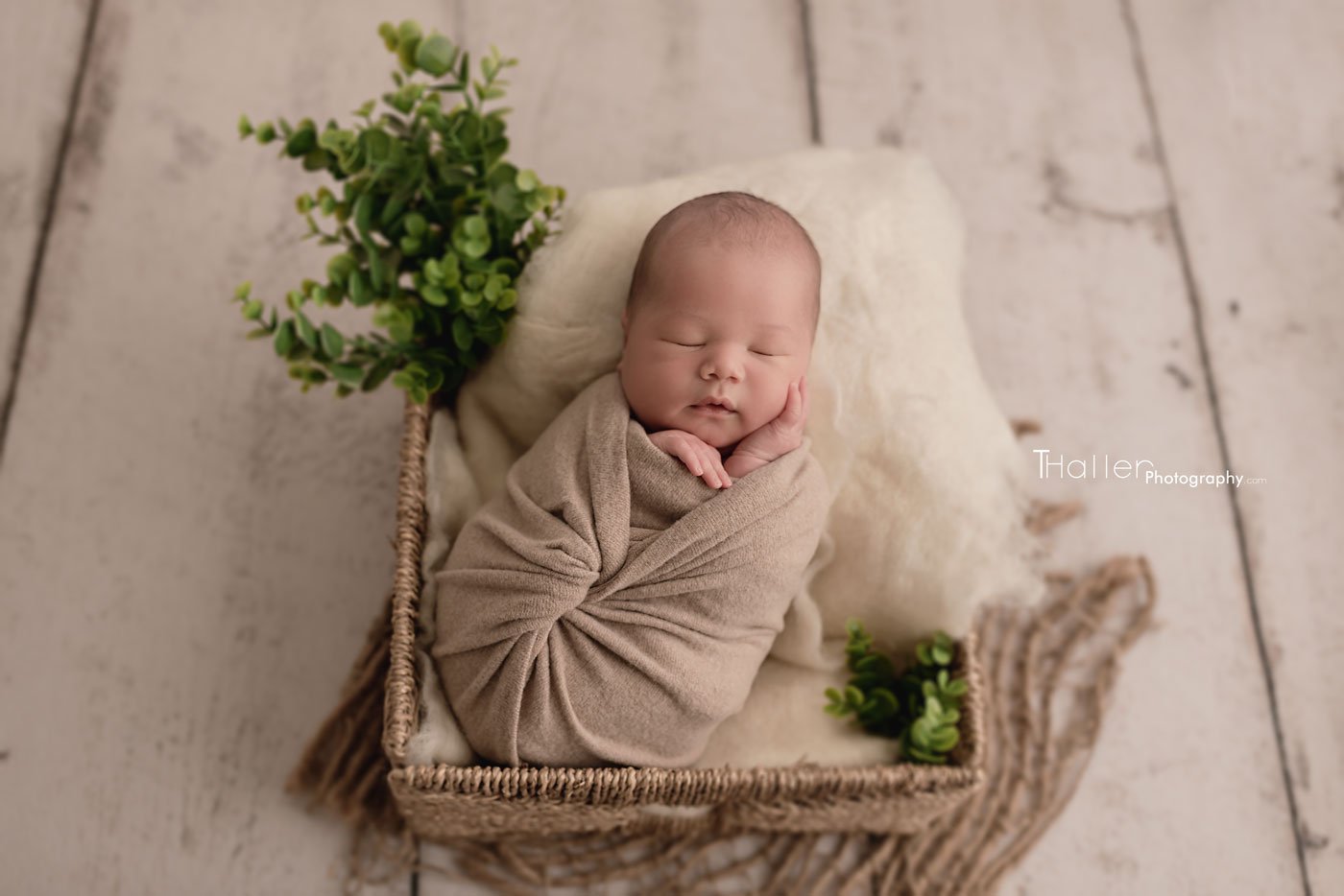 Burnaby Newborn Photographer