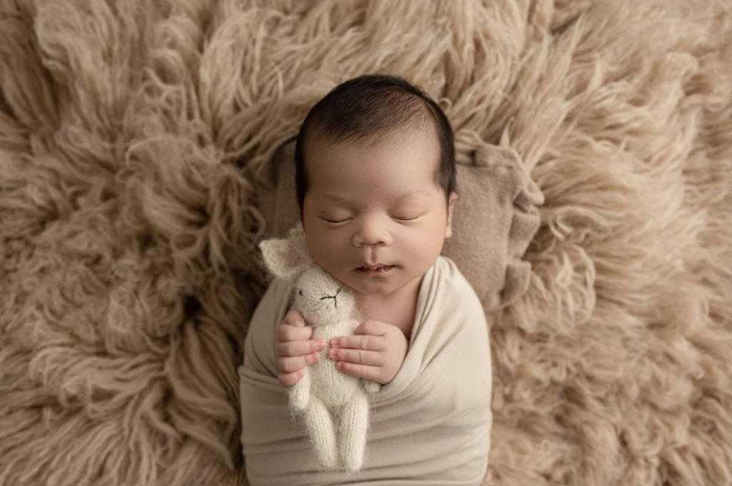 Vancouver Newborn Photographer little baby boy sleeping holding a bunny